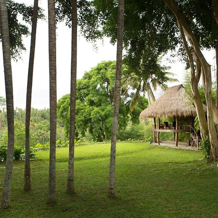 Kamaniiya River Villa Sayan - Ubud エクステリア 写真